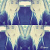 chanteldavis7